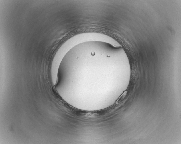 X0000115240566200911271845