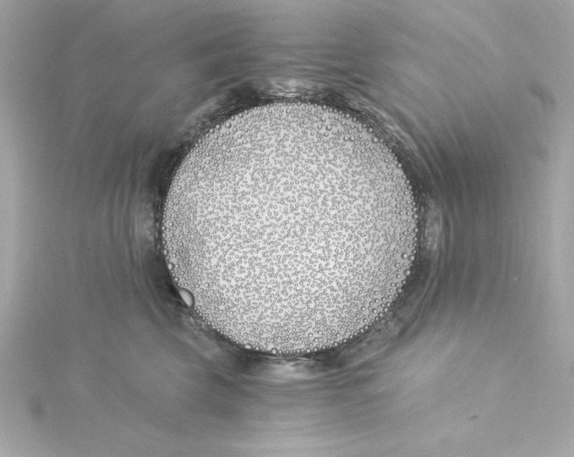 X0000115240569200911271845