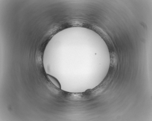 X0000115240573200911271845