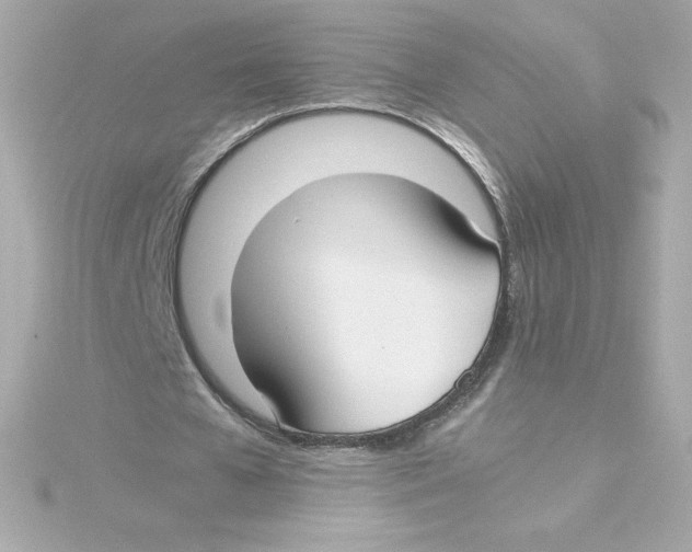 X0000115240577200911271845