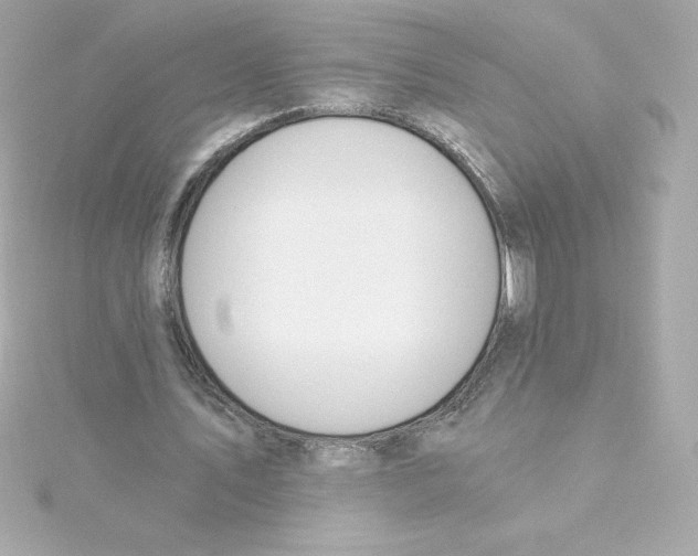 X0000115240579200911271845