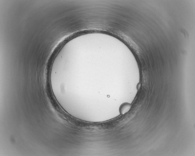 X0000115240580200911271845