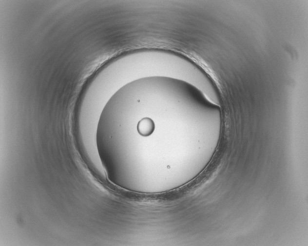 X0000115240581200911271845