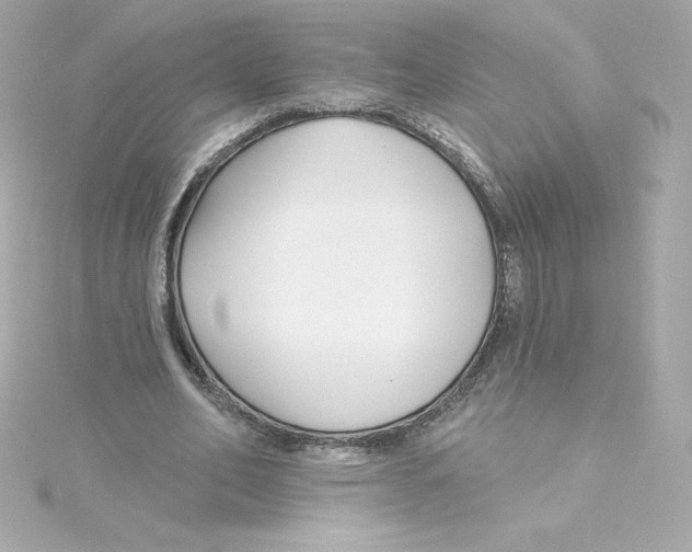 X0000115240582200911271845