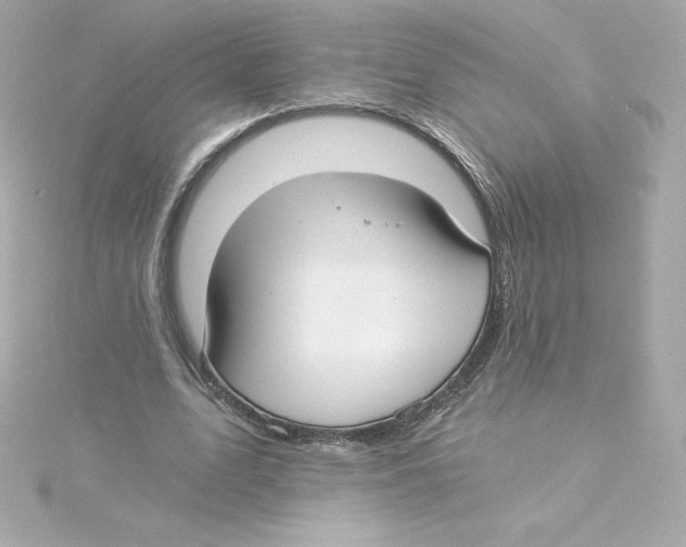 X0000115240583200911271845