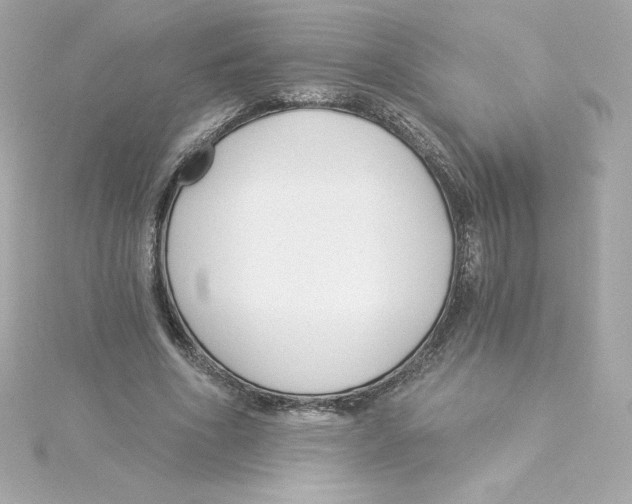 X0000115240586200911271845