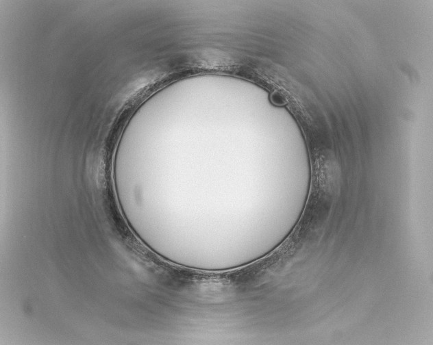 X0000115240587200911271845