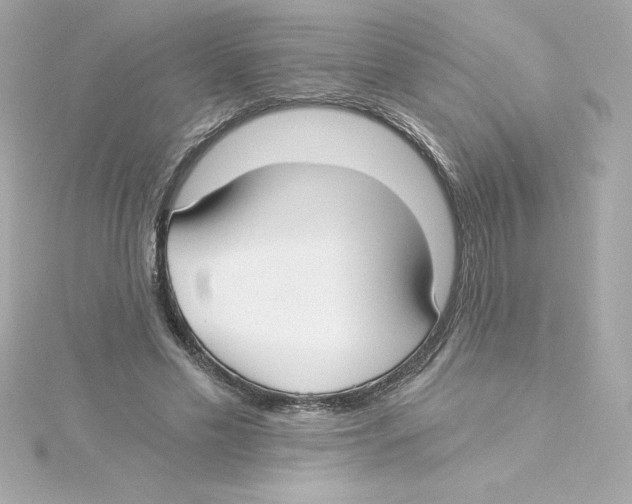 X0000115240589200911271845