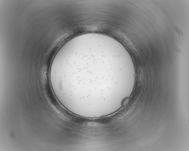 X0000115240590200911271844