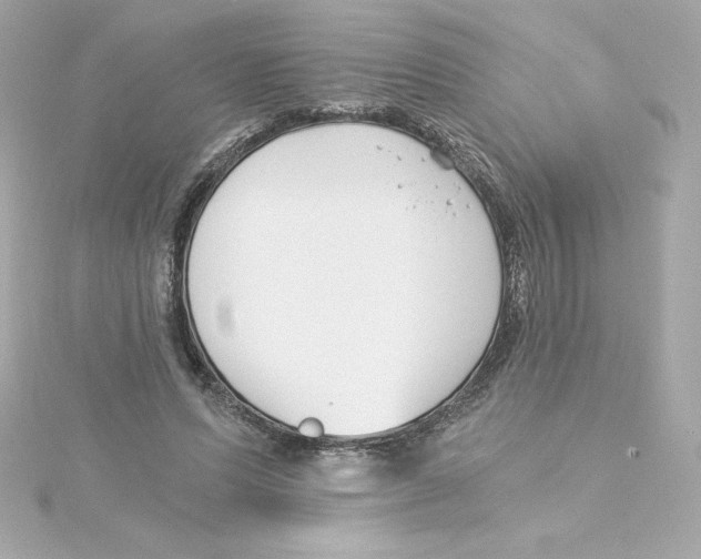 X0000115240591200911271844