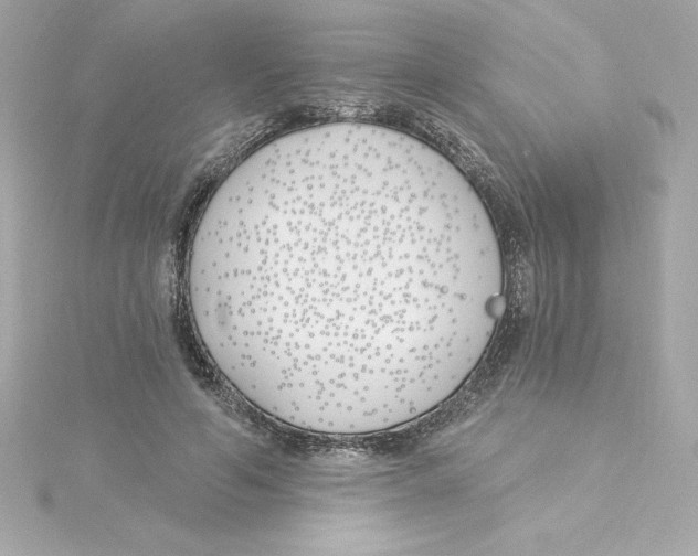 X0000115240594200911271844