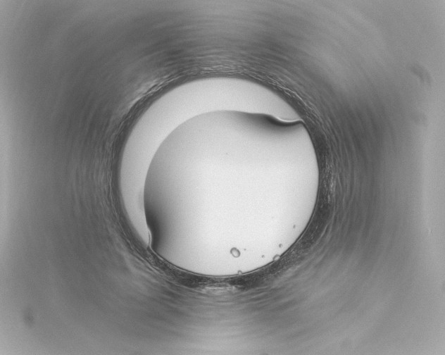 X0000115240595200911271844