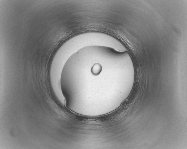 X0000115240597200911271844