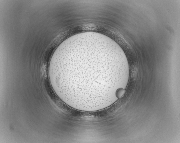 X0000115240598200911271844