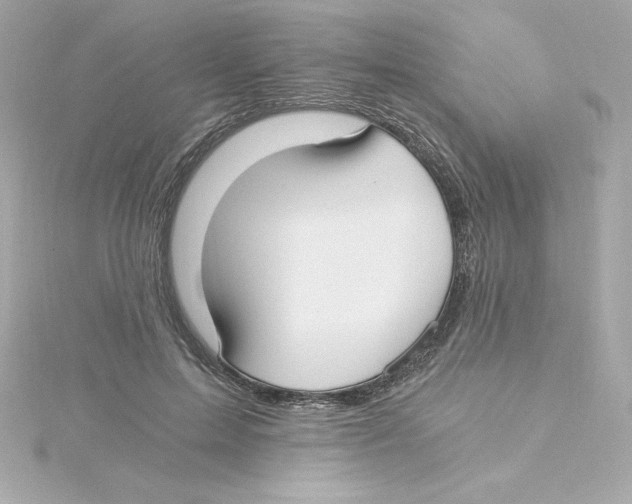 X0000115240599200911271844