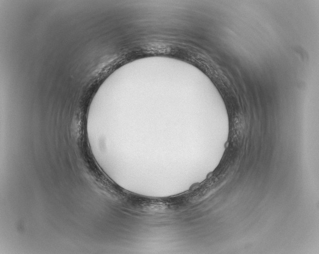 X0000115240600200911271844