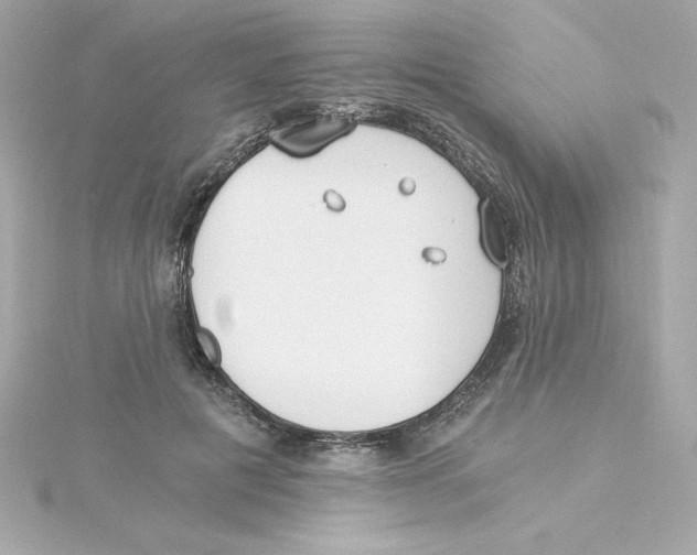 X0000115240601200911271844