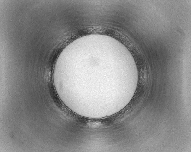 X0000115240602200911271844