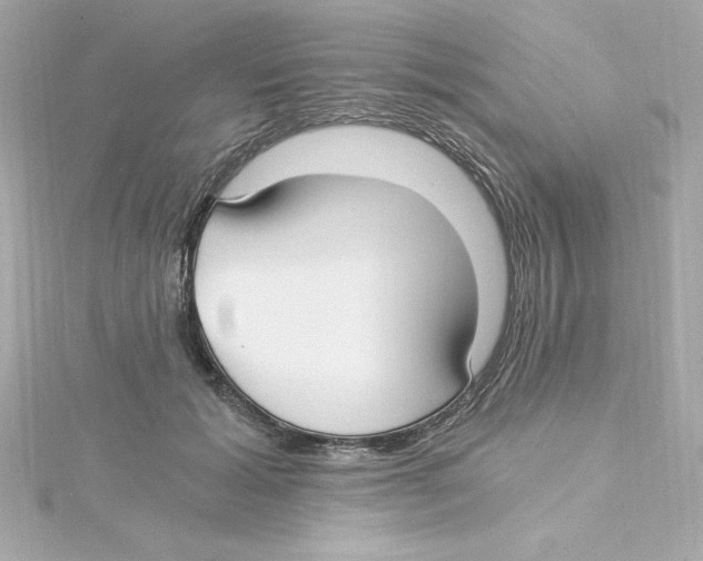 X0000115240605200911271844