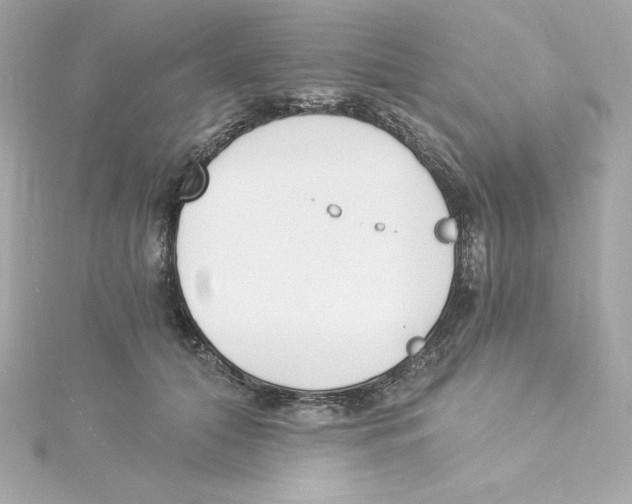 X0000115240608200911271844