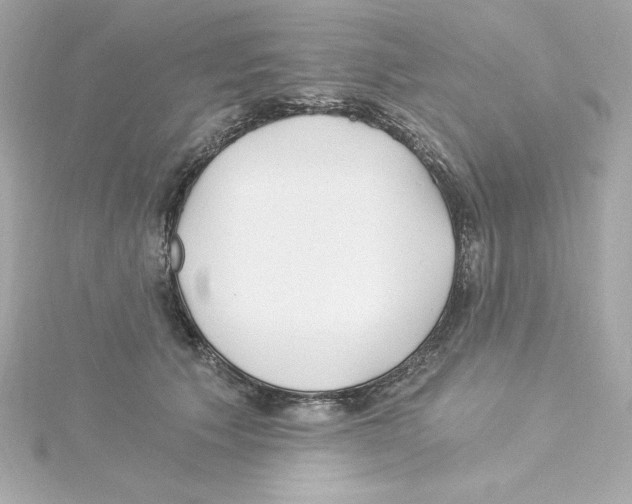 X0000115240609200911271844