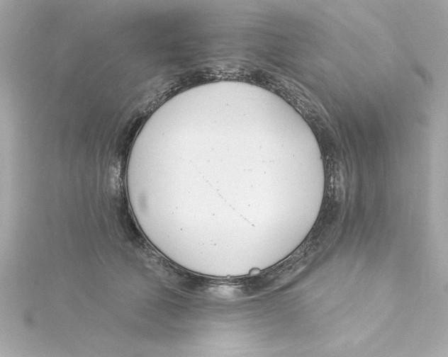 X0000115240610200911271844