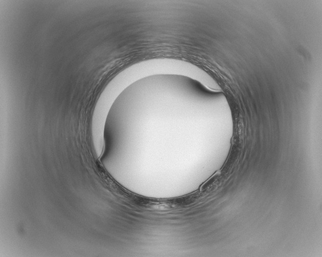 X0000115240611200911271844