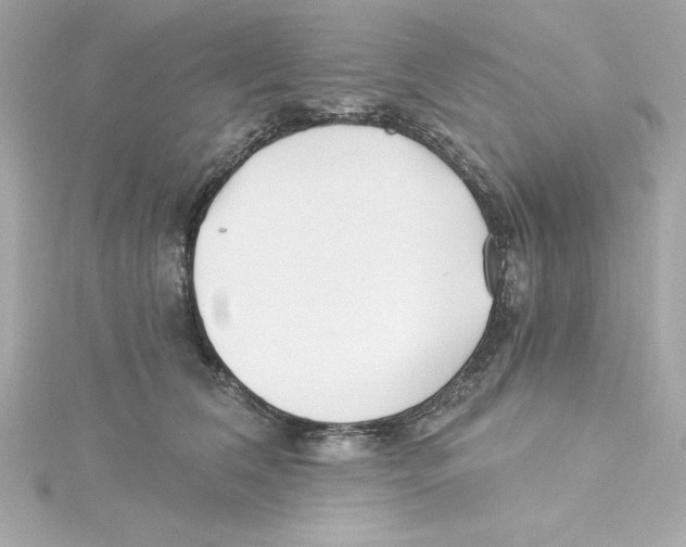 X0000115240612200911271844