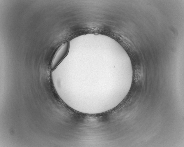 X0000115240613200911271844