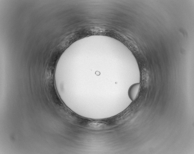 X0000115240614200911271844