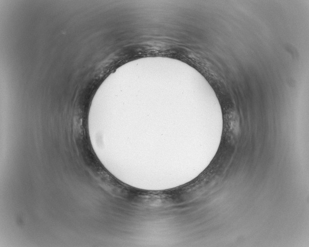 X0000115240615200911271844