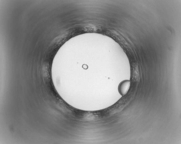 X0000115240616200911271844