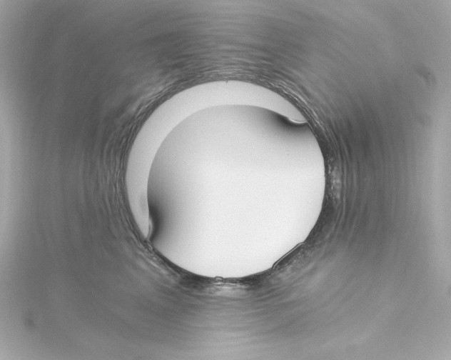 X0000115240617200911271844