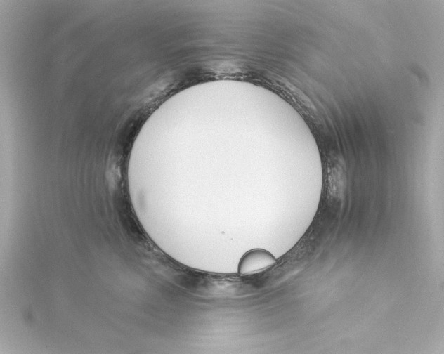 X0000115240618200911271844