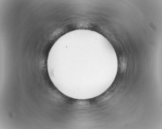 X0000115240619200911271844