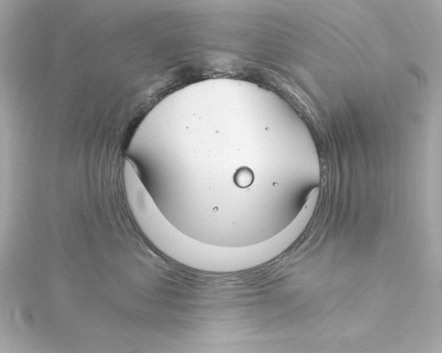 X0000115240621200911271844