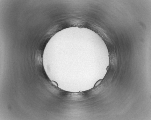 X0000115240622200911271844