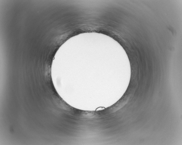 X0000115240624200911271844