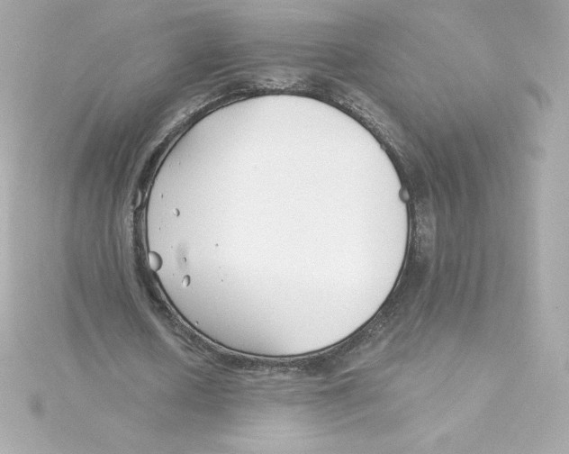 X0000115240626200911271843