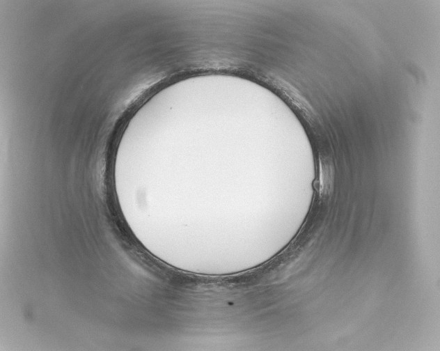 X0000115240627200911271843