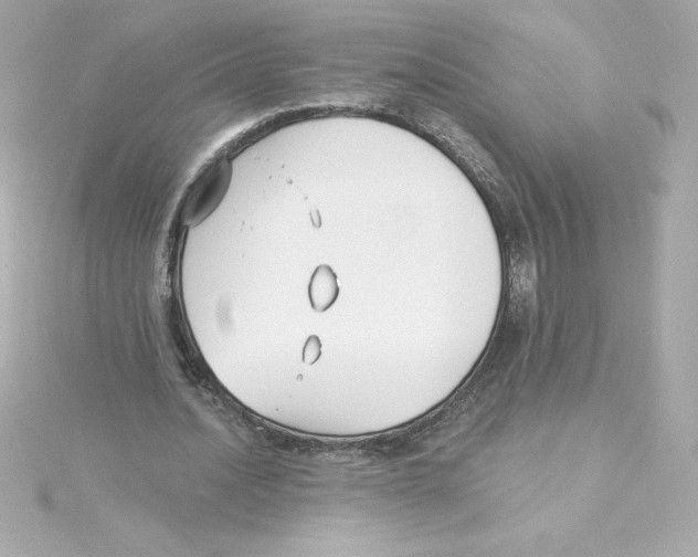 X0000115240628200911271843