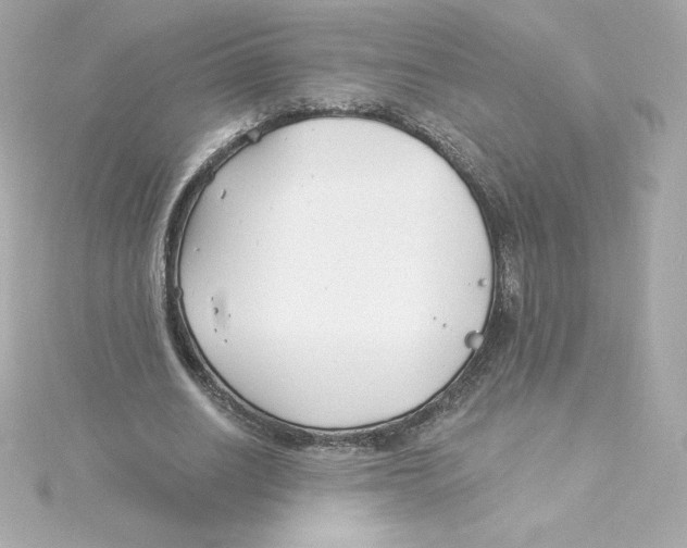 X0000115240630200911271844