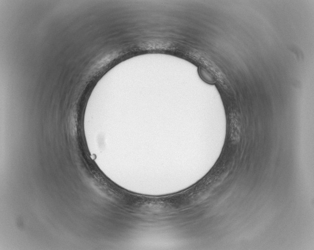 X0000115240631200911271844