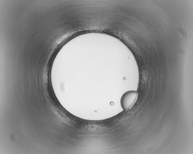 X0000115240632200911271844