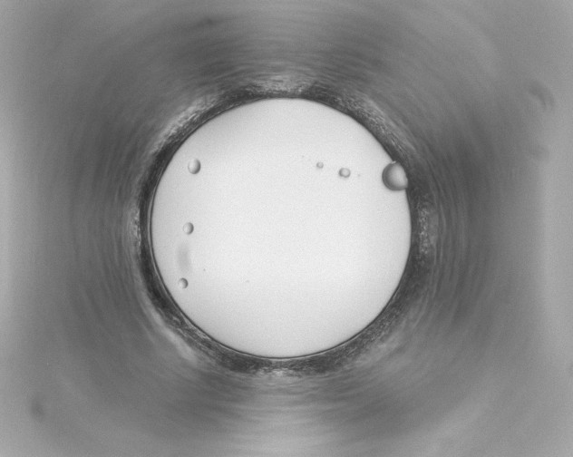 X0000115240634200911271844