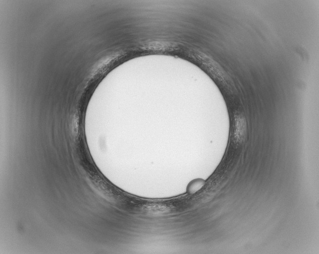 X0000115240636200911271844