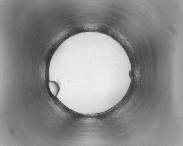 X0000115240637200911271844