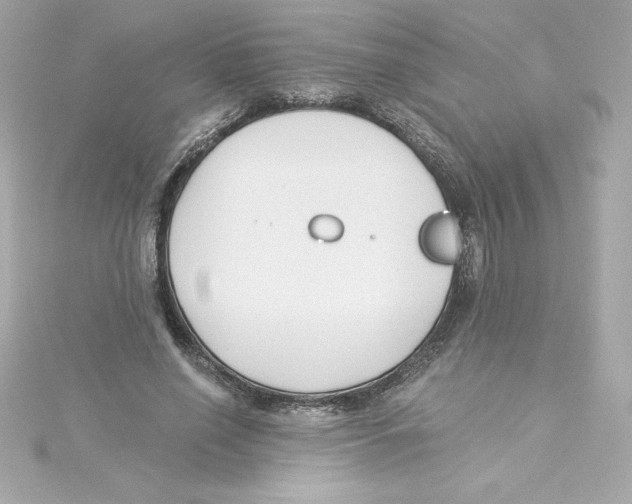 X0000115240638200911271844