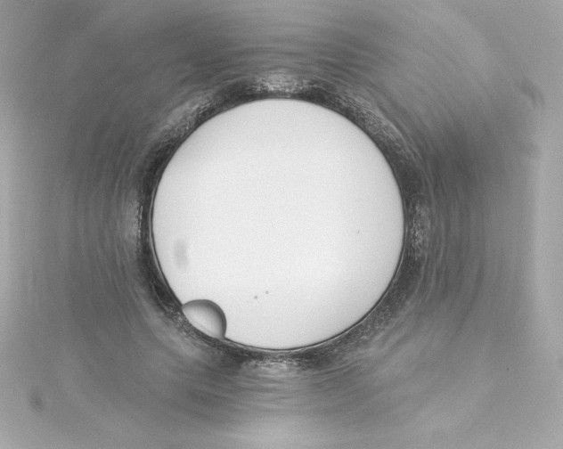 X0000115240639200911271844