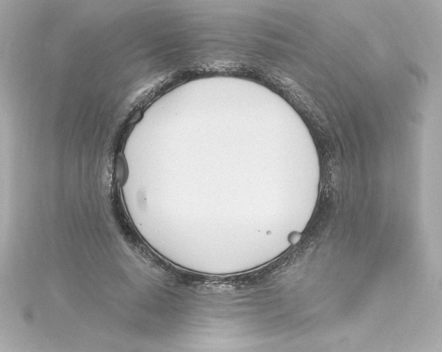 X0000115240640200911271844